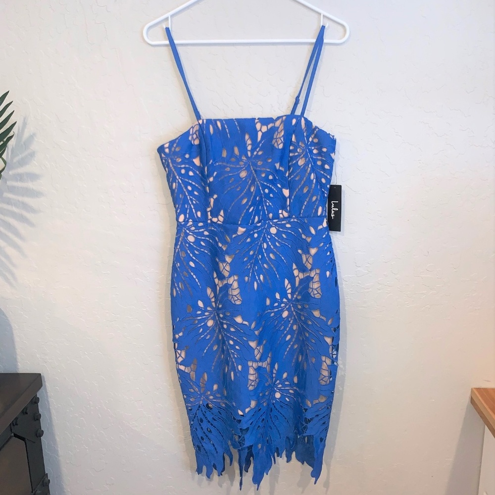 Lulu's Fitted Lace Dress